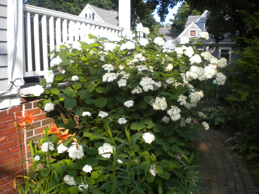 Fleetwood House Bed And Breakfast Portland Kültér fotó